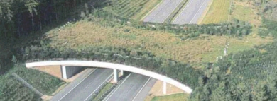A 7 Grünbrücke